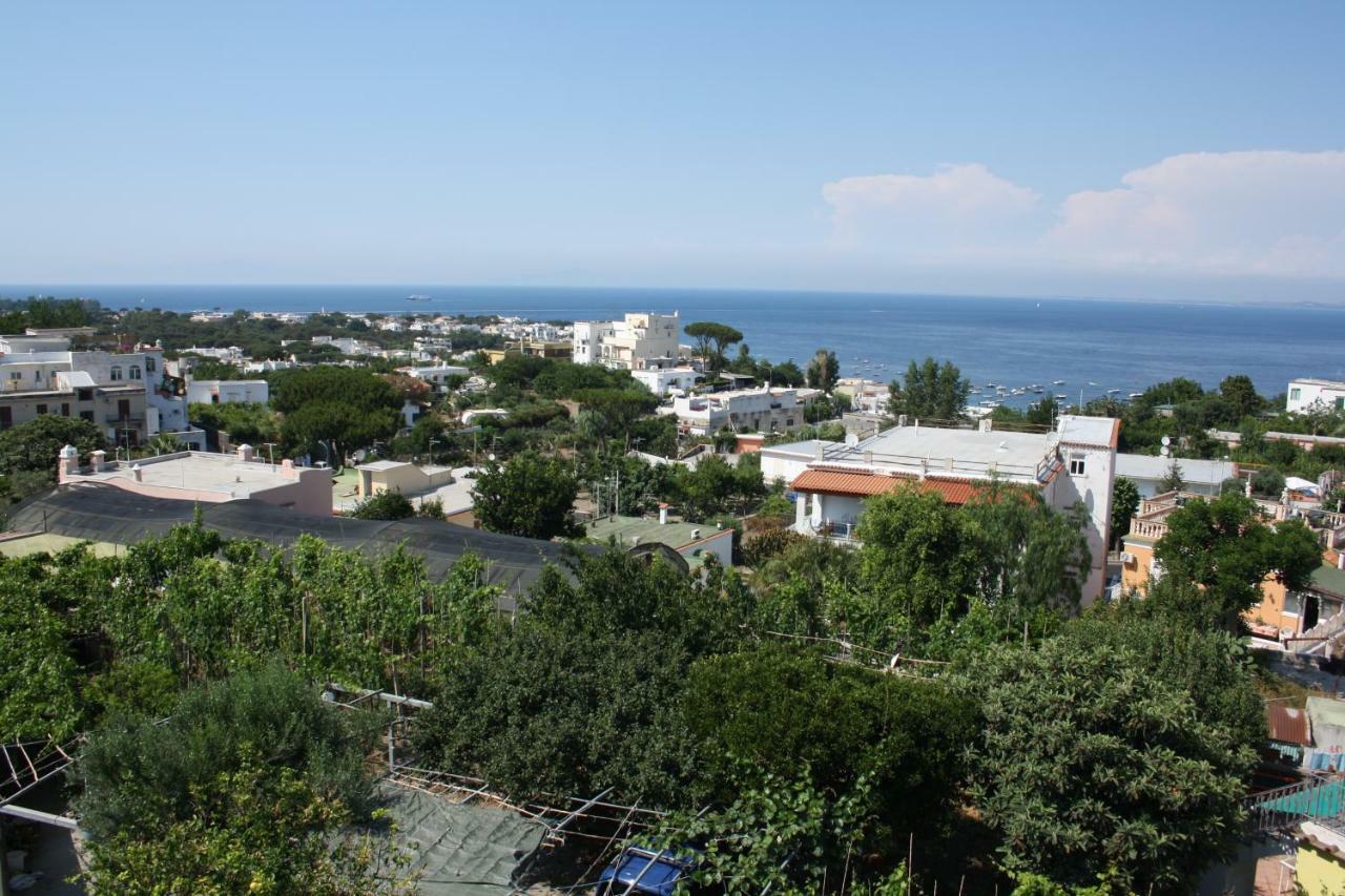 Apartment La Viola