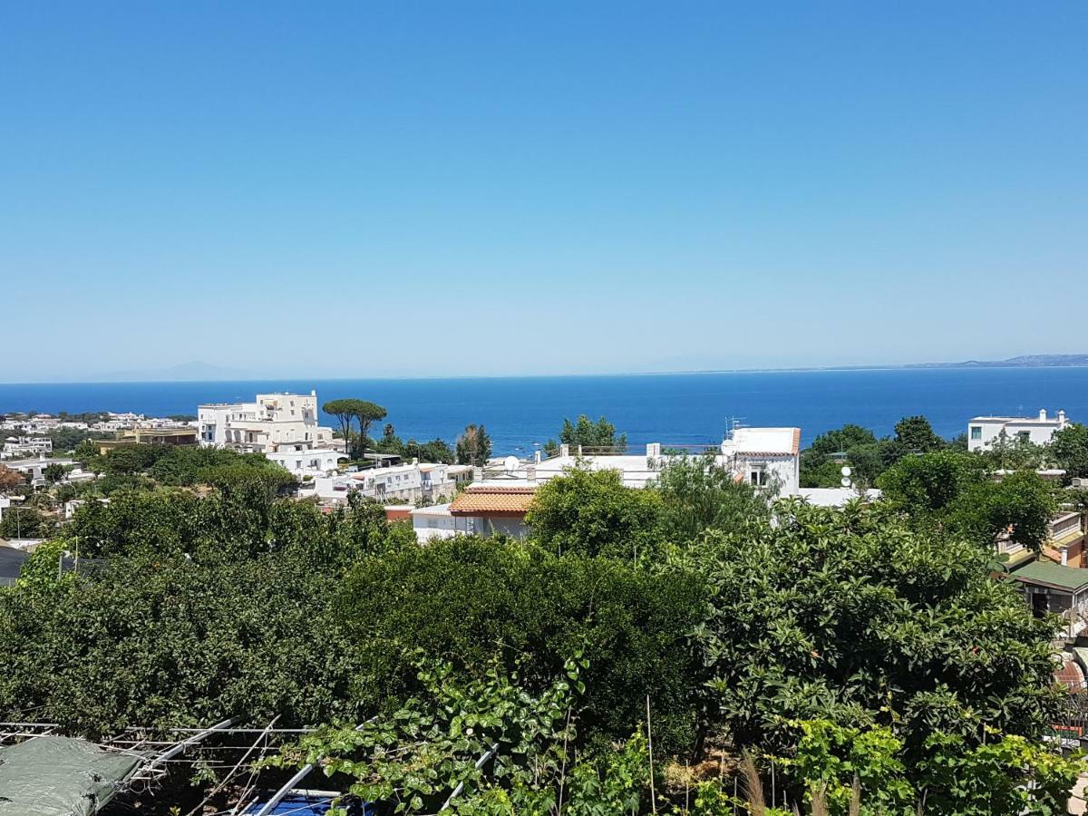 Apartment La Viola Ischia